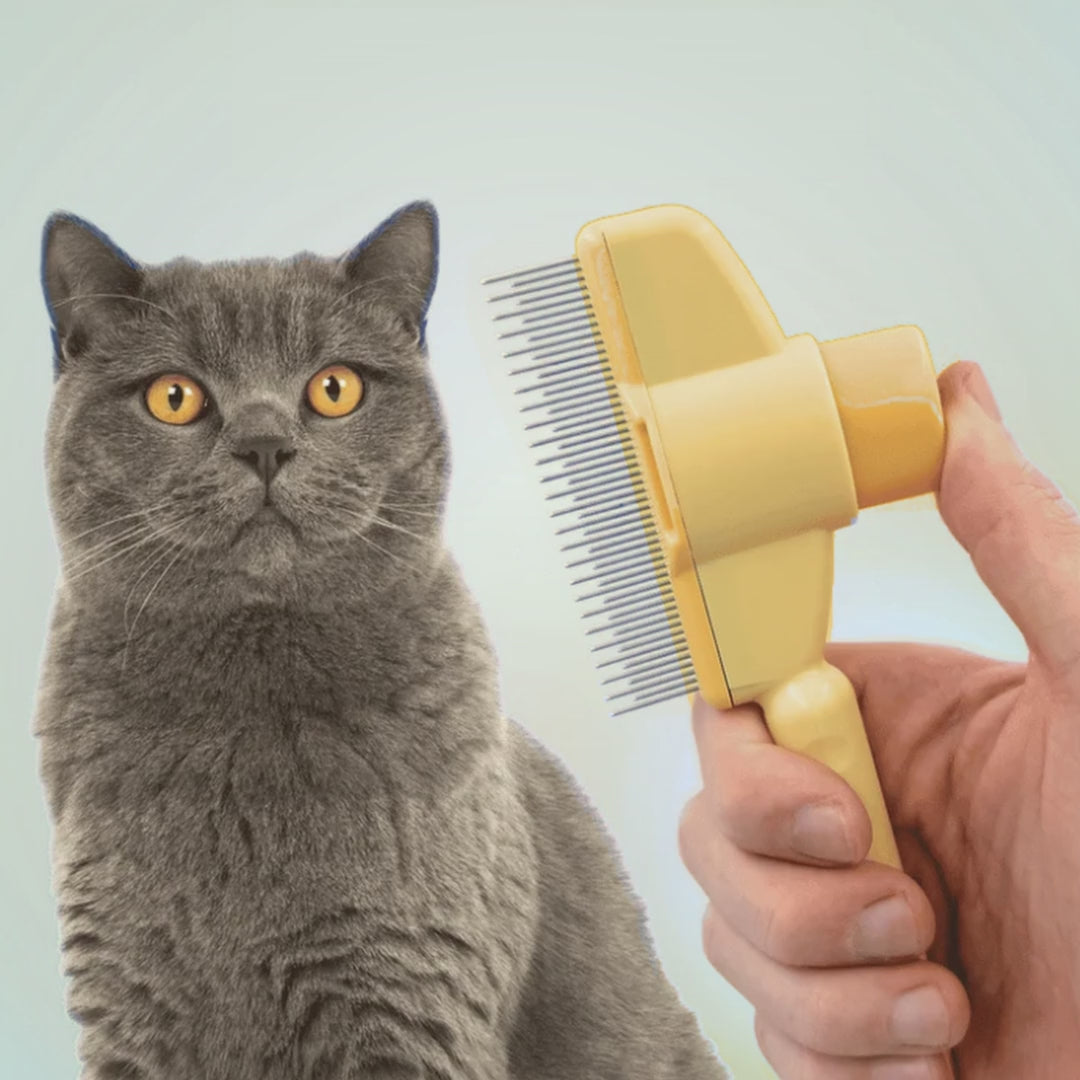 Vivocove self-cleaning cat brush video