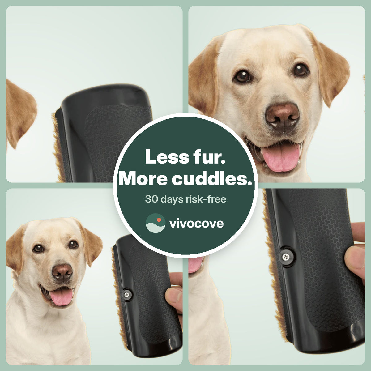 Less fur, more cuddles – Vivocove dog brush